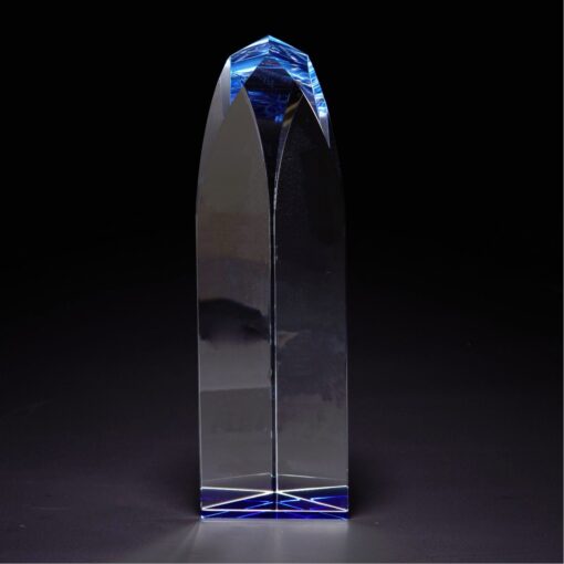 Fairmont Large Optically Perfect Award-2
