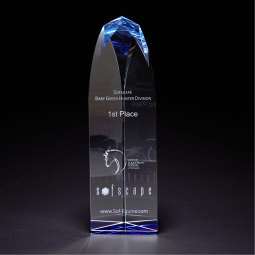 Fairmont Large Optically Perfect Award-1