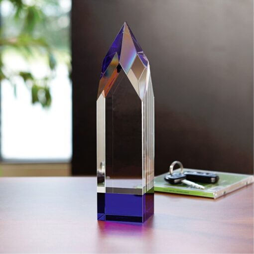 Indigo Peak Award-2