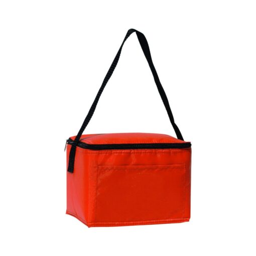Insulated 6 Pack Cooler-9