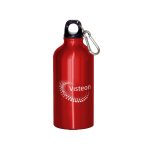 Aluminum Bottle 22 Oz - 6