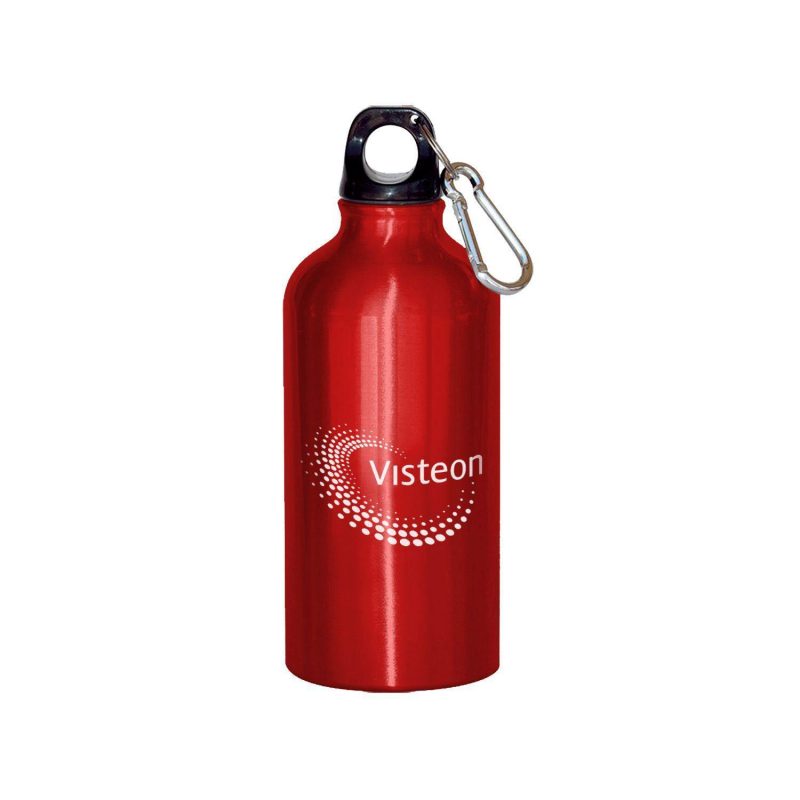Aluminum Bottle 22 Oz - 6