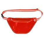 Ann Arbor Transparent Waist Pack - 2