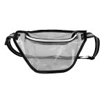 Ann Arbor Transparent Waist Pack - 9