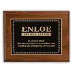 Ashford Small Plaque Award - 2