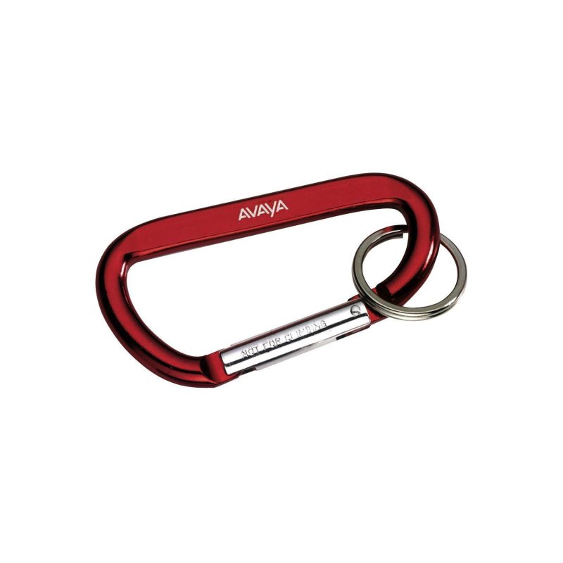 Carabiner with Ring - 5