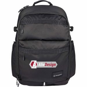 High Sierra Daily Pro Backpack