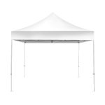 IMPORT 10' x 10' Canopy Package - 1