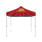 IMPORT 10' x 10' Canopy Package