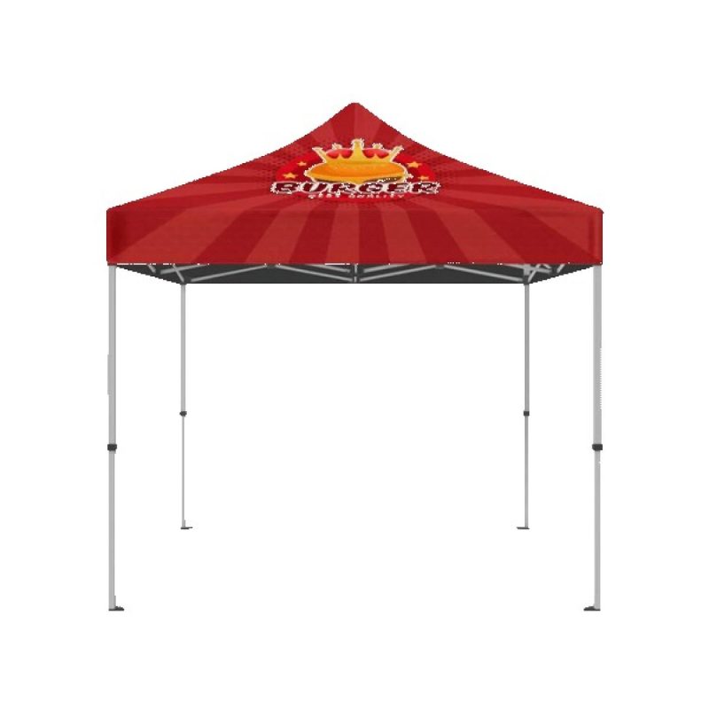 IMPORT 10' x 10' Canopy Package - 2