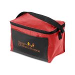 Insulated 6 Pack Cooler - 4