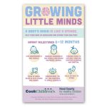 Rectangle Magnet 5 x 8