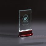 Statute Large Award - 2