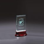 Statute Small Award - 2