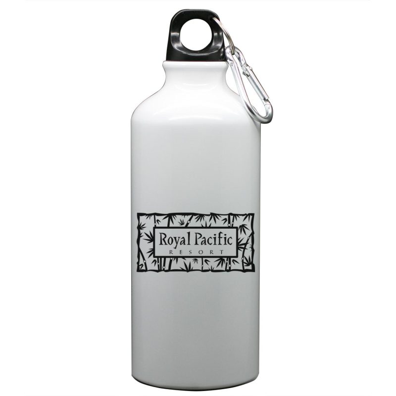 Aluminum Bottle 22 Oz - 8